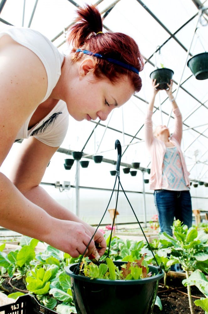 East Lansing resident and MSU alumni Anji Reynolds picks lettuce mix out of a hanging basket Tuesday at the Hunter Park Community Garden House, 1400 East Kalamazoo Street, Lansing. Reynolds volunteers at the community garden as a way to be involved with the Lansing urban farm project. "It's refreshing to get your hands dirty," Reynolds said.  Jaclyn McNeal/The State News