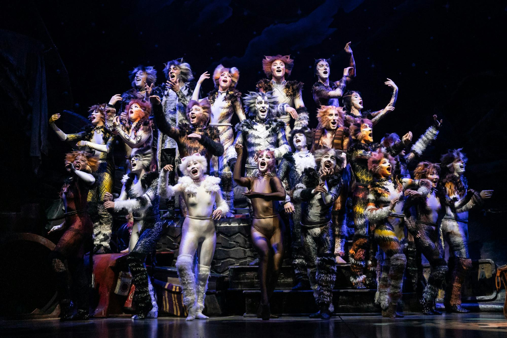 the-company-of-the-2021-2022-national-tour-of-cats-photo-by-matthew-murphy-murphymade-v1