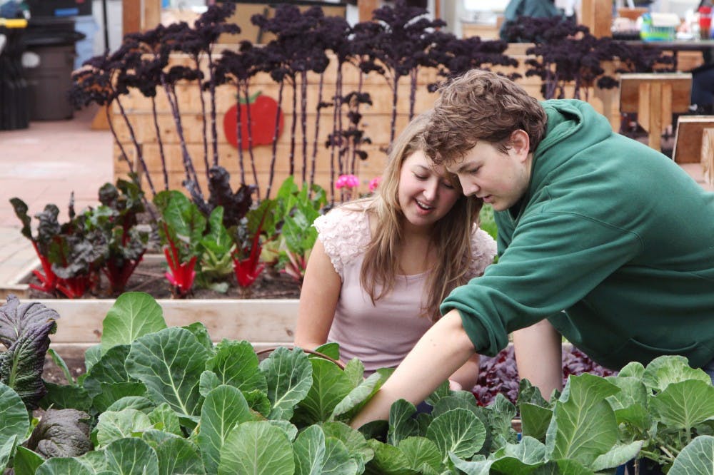 Special education sophomore Julia Ruggirello and social relations and policy junior Kevin O'Brien help out with the garden Wednesday at Hunter Park Community GardenHouse in Lansing. Ruggirello recently won The Big Ten Network's "Live Big" award and is currently the president of C.A.R.E., a community outreach group at MSU. Derek Berggren/The State News