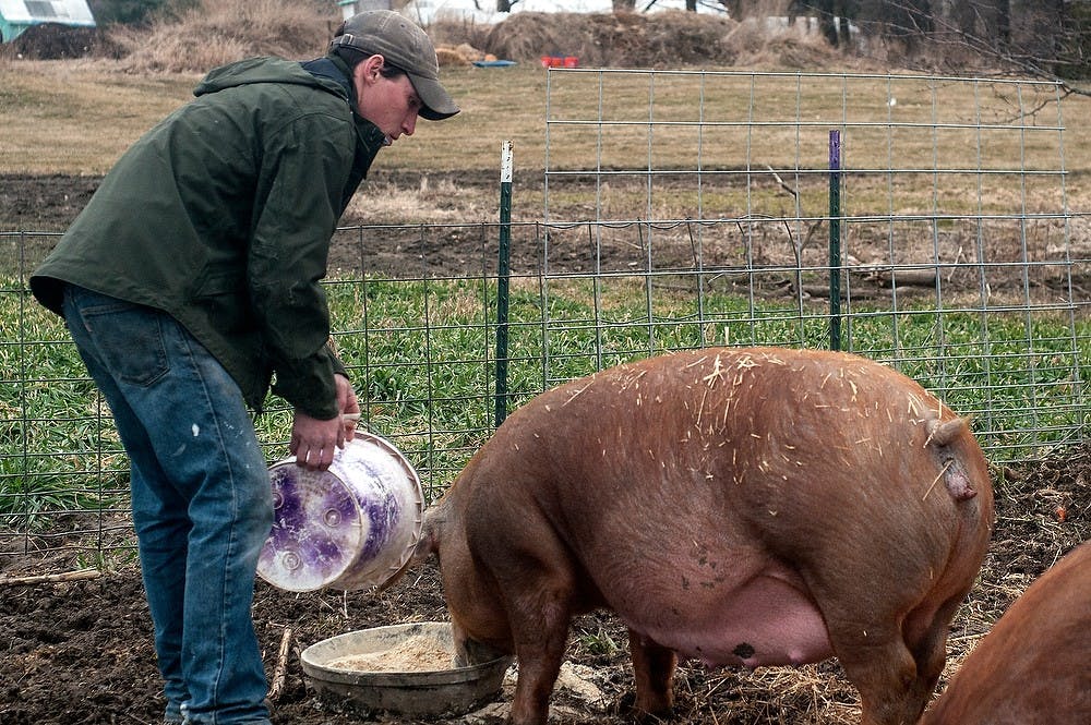 <p>Munith resident and Livestock Manager Ben Fidler feeds the pigs March 26, 2015, at the MSU Student Organic Farm. Allyson Telgenhof/The State News.</p>