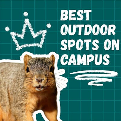 website blocks - MM, WW - 10