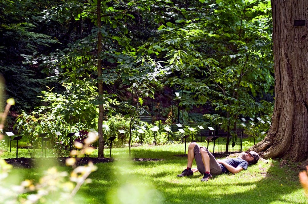 	<p>A 2009 graduate, Alex Ticu meets green grass inside the W.J. Beal Botanical Garden on Wednesday&#8217;s sunny afternoon.  This garden, established in 1873, houses over five-thousand species such as the Japanese Katsura tree, right, for educational and recreational purposes.</p>