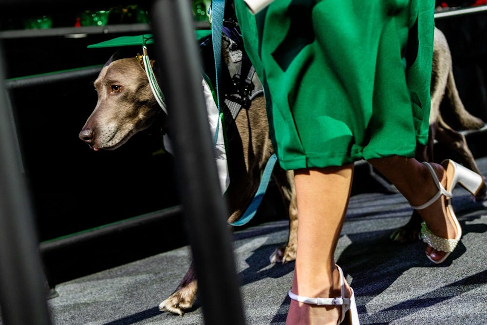Mochi, a service dog belonging to Ahleigh Clara Kumiko Weiszbrod, receives a diploma during the Michigan State University College of Communication Arts and Sciences graduation ceremony at the Breslin Student Events Center on Michigan State University’s campus in East Lansing, Mich., on Friday, May 1, 2026.