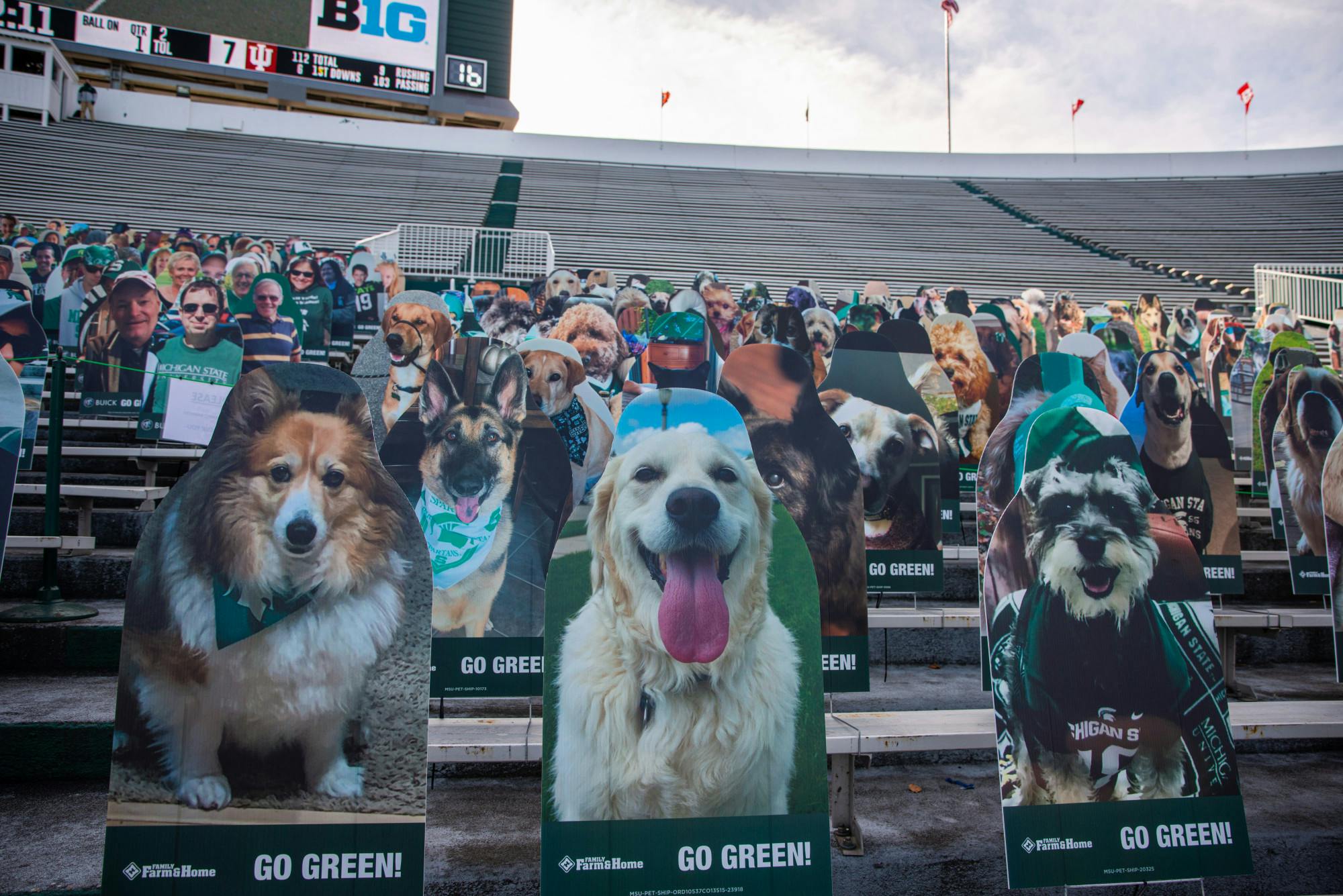 Spartan pets support the team from the south end of the stadium during a football game against Indiana University at Spartan Stadium on Nov. 14, 2020.