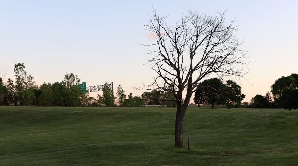 <p>A dead tree sits alone on a golfcourse.</p>