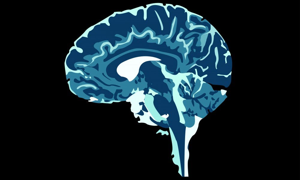 brain_thumbnail_web