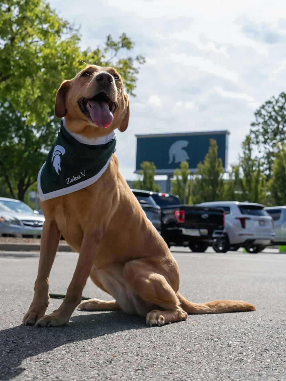 <p>Zeke the Wonderdog sits outside of Spartan Stadium in East Lansing, Mich., on Sept. 12, 2026.</p>