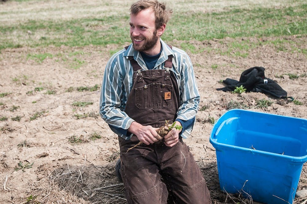 <p>Lansing resident and assistant instructor Russell Honderd harvests parsnips April 16, 2014 at the <span class="caps">MSU</span> Student Organic Farm on College Road. Students go through hands-on training for nine months to receive a certificate from <span class="caps">MSU</span> Student Organic Farm and <span class="caps">MSU</span> Department of Horticulture. Erin Hampton/The State News</p>