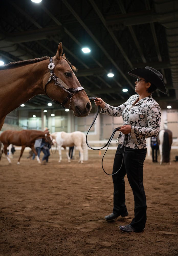 Competitors show off their horses in Apple Blossom Classic at MSU ...