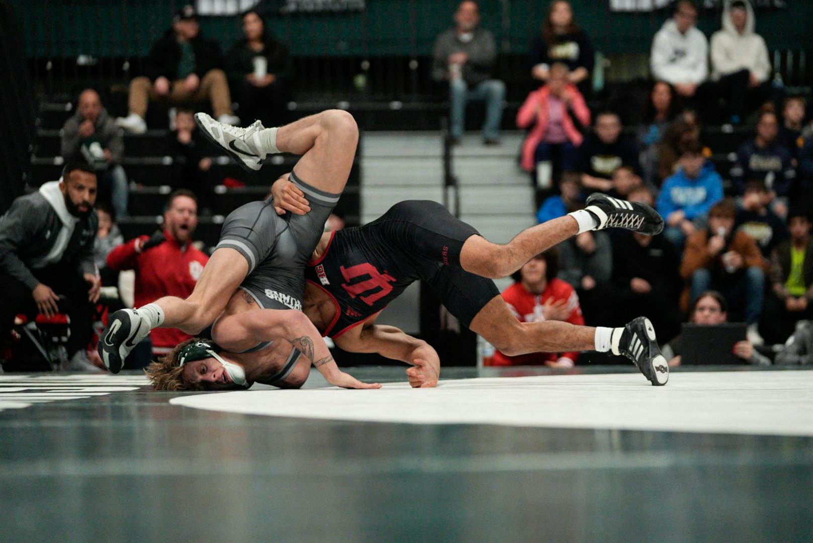 <p>Michigan State wrestling takes on Indiana at the Jennison Field House on Jan. 24, 2025.</p>