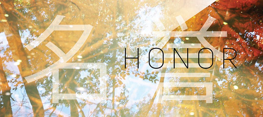 honor-curtain4