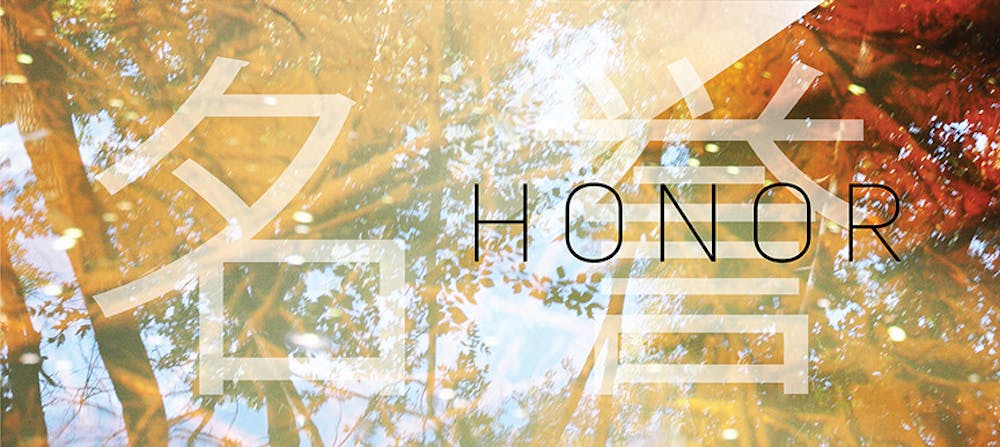 honor-curtain4