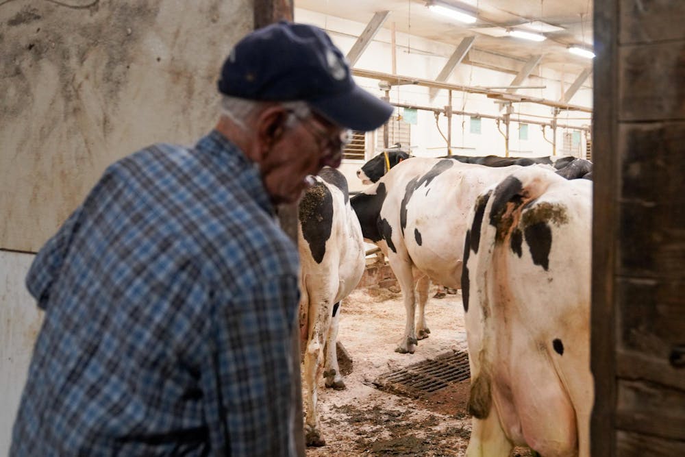 Duane Reum, 88, of Lansing, closes the door to barn after they their morning milking at at the Dairy Cattle and Research Center in Lansing on Sept. 18, 2023. 