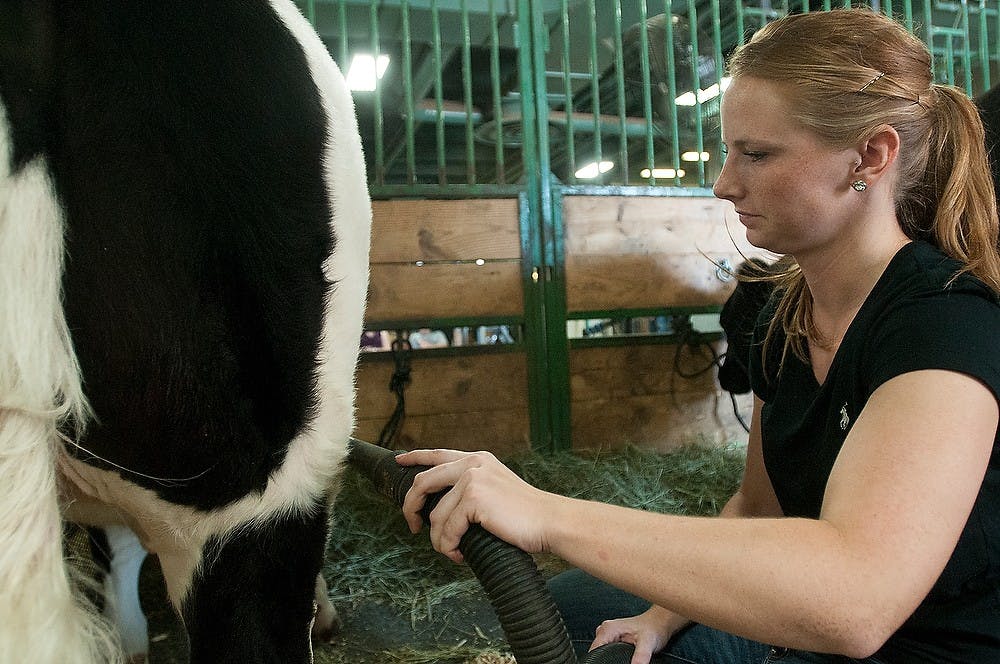 	<p>St. Johns, Mich. resident Ashley Davis prepares her cow for show July 14, 2013, at the Michigan Livestock Expo at Pavilion for Agriculture and Livestock Education. Davis&#8217; cow was one year old and weighed 1050 pounds. Weston Brooks/The State News</p>