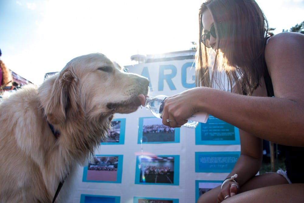 Kinesiology senior Maria Silletti gives her dog Bentley, 1, a drink of water during Sparticipation on August 28, 2018 at Cherry Lane Field. Silletti is the ambassador for MSU CHAARG, a group for women interested in fitness and health on campus. Thousands of students attended the annual event which gives student organizations the chance to recruit new members.