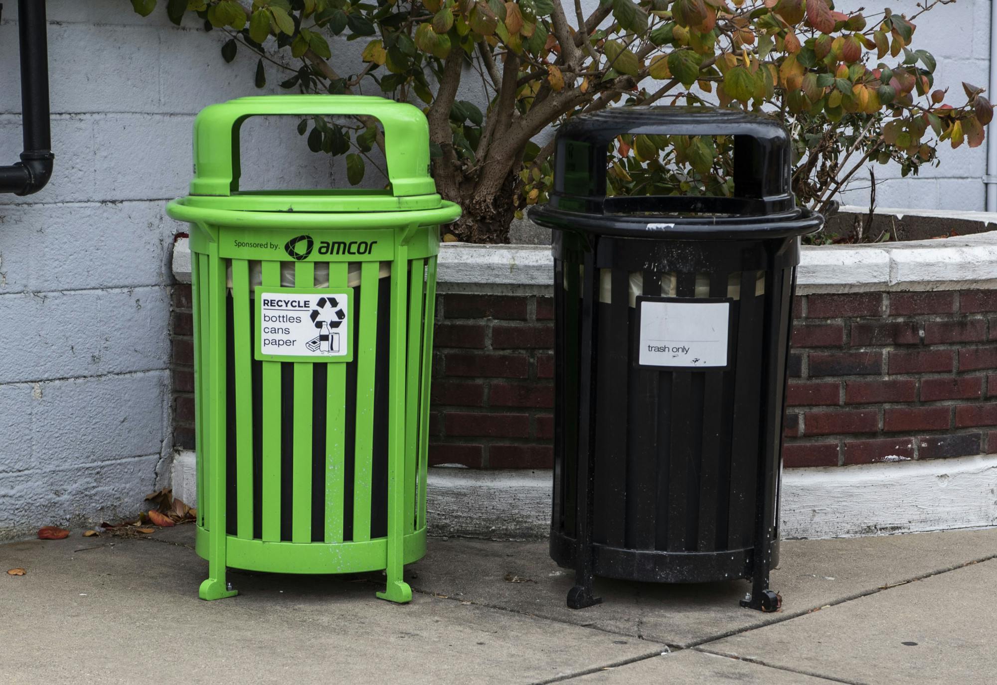 Recycling and trash bins located outside of Rice Kitchen behind Grand River Avenue. Shot on Dec. 1, 2020. 