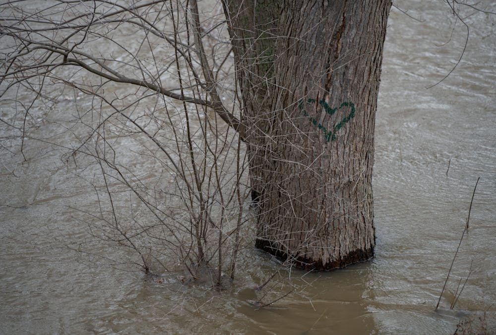 A green heart is painted on a tree that is flooded by the Red Cedar River after heavy rainfall on campus on April 5, 2023. 