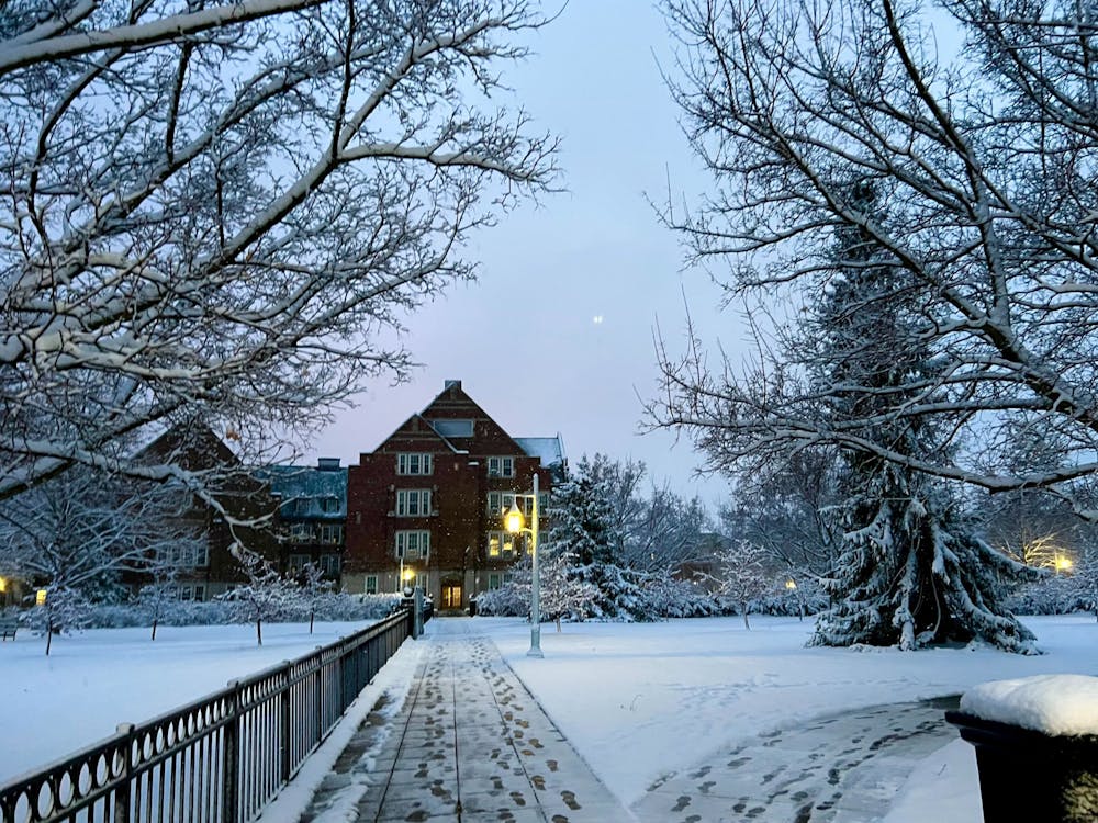 <p>Snow falls in North Campus on Jan. 25, 2023.</p>