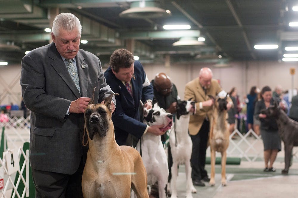 	<p>Pittsburgh, Pa., resident Rick Zahorchak and other contestants prepare their Great Danes for judging during the Ingham County Kennel Club Winterland Classic Dog Show on Dec. 1, 2013 at the Pavilion for Agriculture and Livestock Education. Brian Palmer/The State News</p>