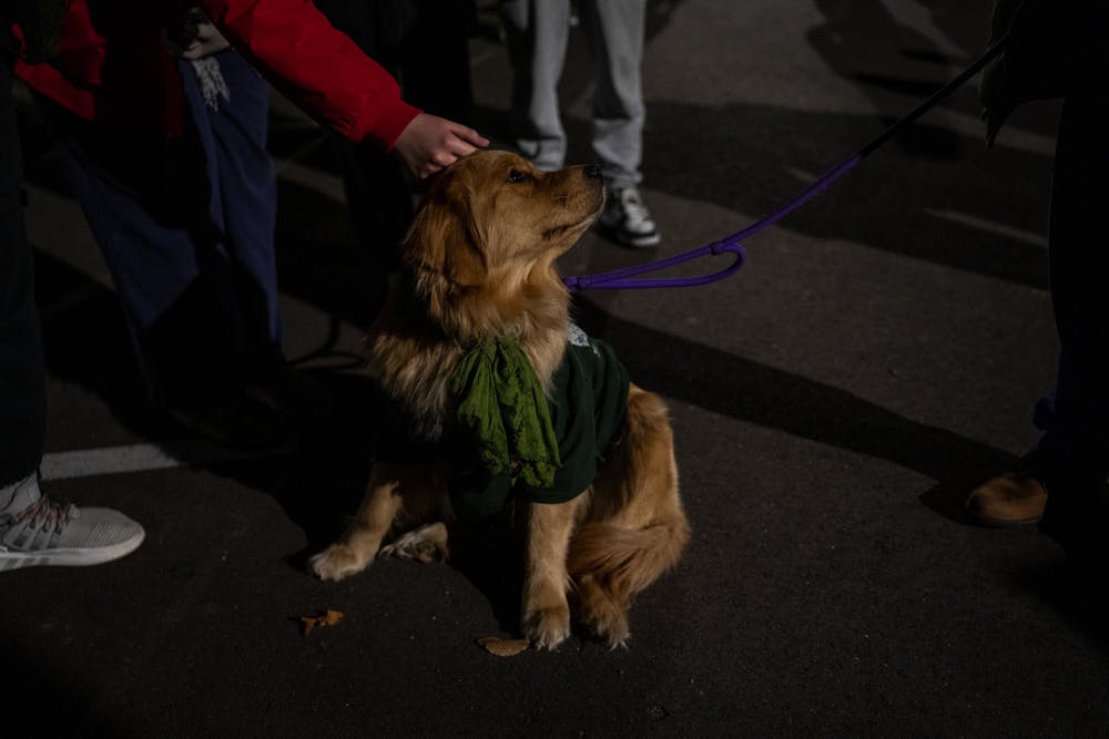 <p>Penny Lane, a resident therapy dog in the MSU Residential College in the Arts and Humanities on Feb. 13, 2024, getting pet by students at the remembrance ceremony. One year after the Michigan State University campus shooting, a remembrance ceremony was held to remember and reflect on the tragedy.</p>