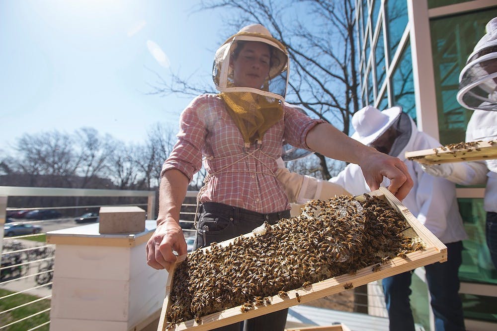 <p>Beekeeper and PhD graduate Meghan Milbrath displays a panel of the beehive April 17, 2015, on the balcony of Bailey Hall in Brody Complex. These students will nurture the beehive to maturity which they hope will enable the bees to pollinate plants in their greenhouse. The students also are combating the current declining bee population with their project. Erin Hampton/The State News</p>