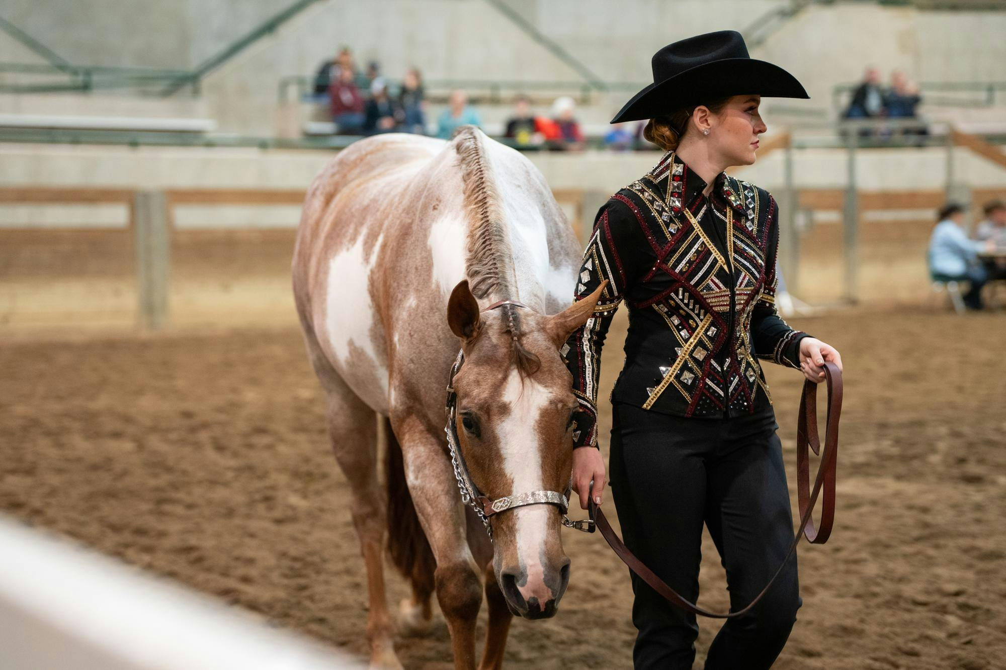 Competitors show off their horses in Apple Blossom Classic at MSU
