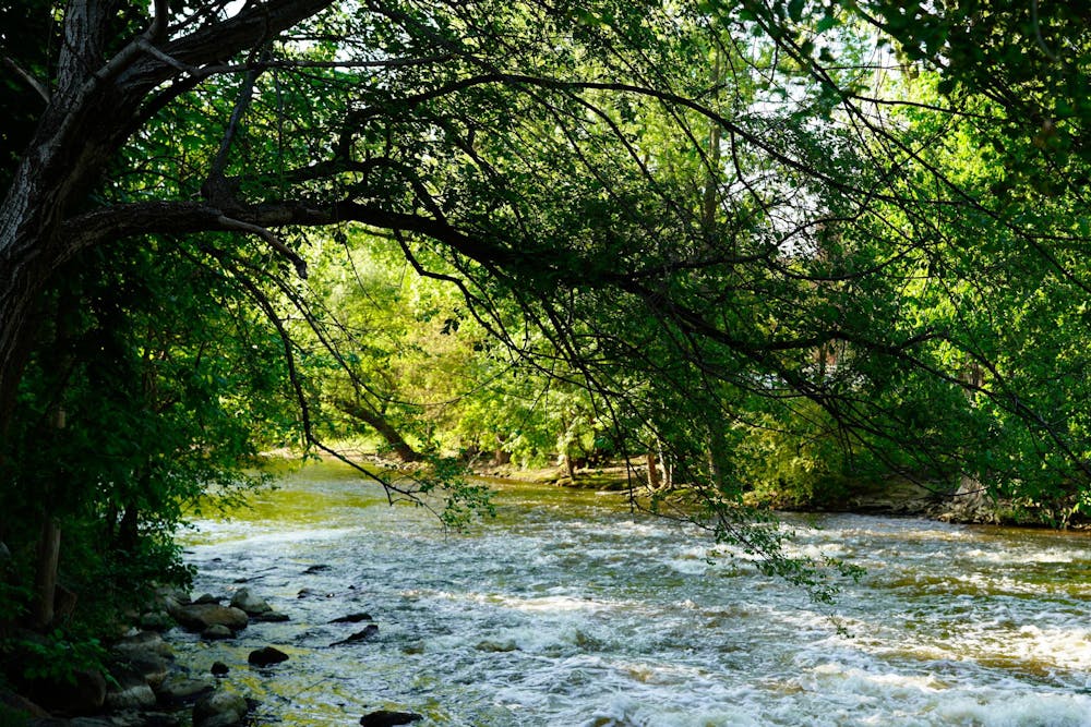 <p>The Red Cedar River at Michigan State University on May 15, 2024.</p>