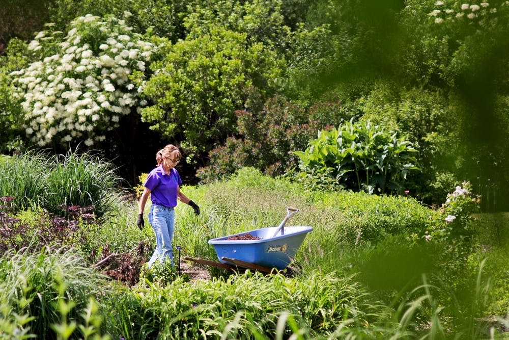 Judith Delapa Perennial Garden Manager Renata Reibitz mulches a flower bed on June 13, 2012. State News File Photo