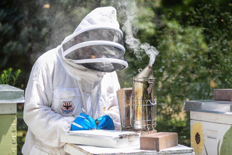 From the military to beekeeping: A look into a veteran's unique ...