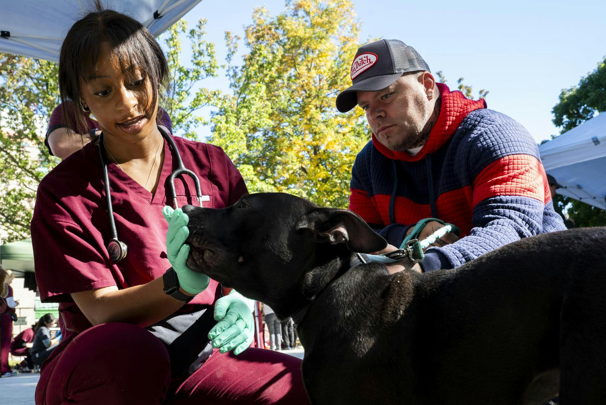 <p>Michigan State University second-year veterinary medicine student Dana Rice examines Melly, a 9-month-old pit bull owned by Patrick Stephens, 43, of Lansing during a free veterinary clinic hosted by the Michigan Community Street Clinic at Reutter Park in Lansing, Mich., on Sunday, Sept. 27, 2026.</p>