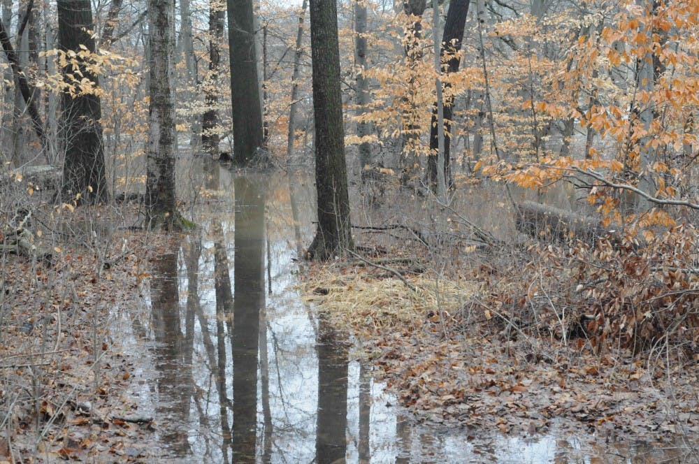 <p>A flooded trail behind Holmes Hall on Feb. 21, 2018.</p>