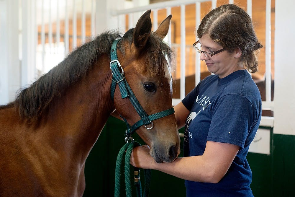 <p>Horse management sophomore Tatia Heleski pets a young horse Sept. 23, 2014, at the Horse Teaching and Research Center. Heleski, and other students, worked with young horses on developing proper behavior. Julia Nagy/The State News</p>