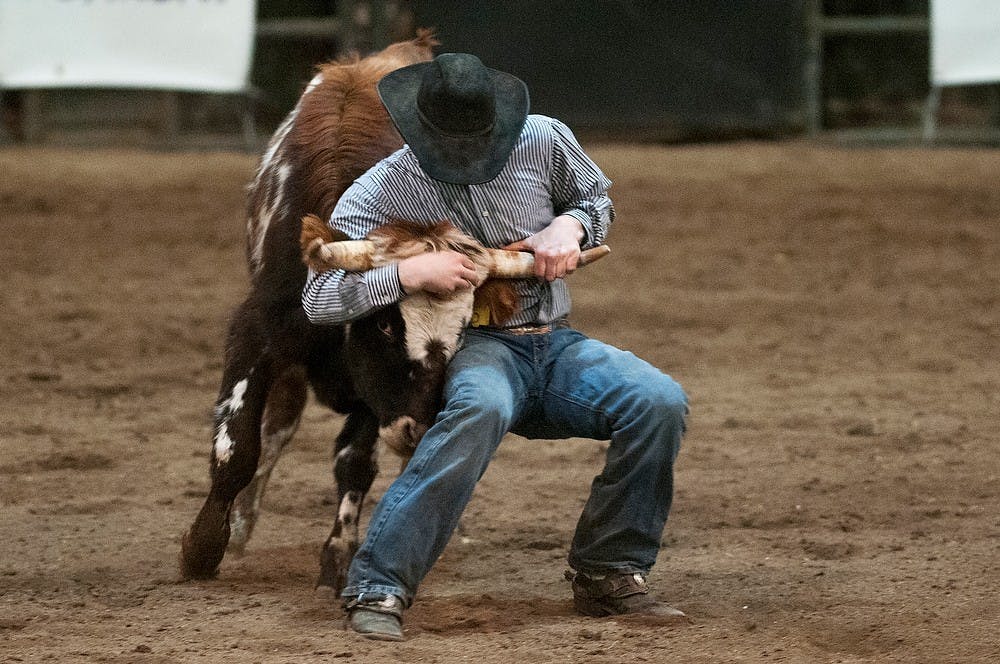 <p>Underwood, In., resident Brandon Ragsdale wrestles a steer during the 45th annual Spartan Stampede Rodeo on Feb. 15, 2014, at MSU Pavilion. The rodeo featured three days of competition riding. Danyelle Morrow/The State News</p>