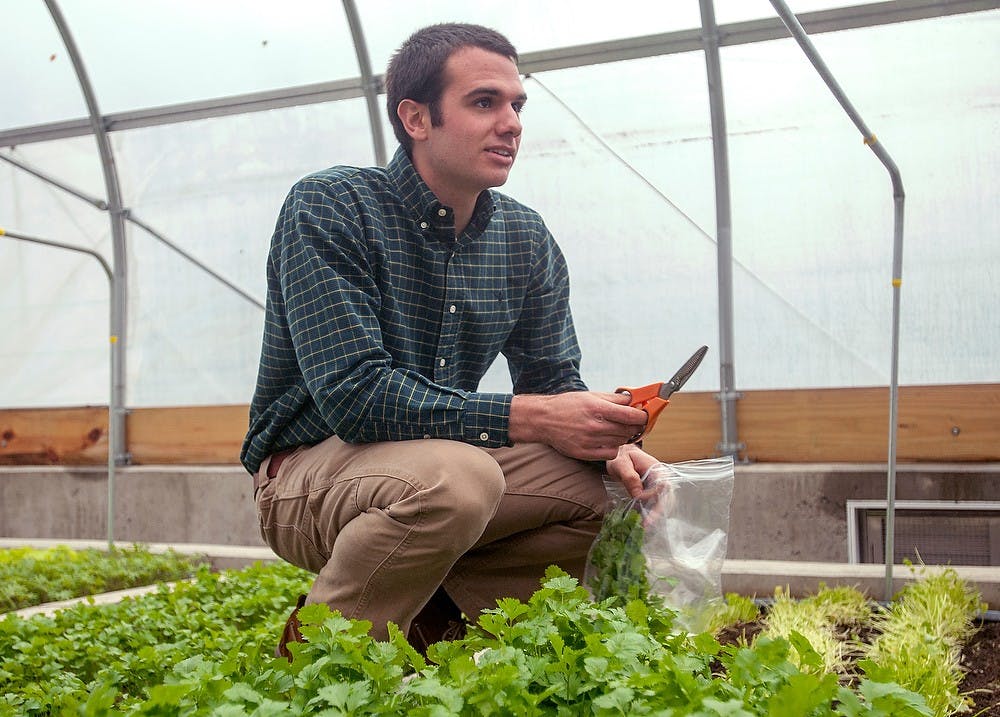 Horticulture junior and member of the Student Leadership Team Charles Defever picks a sample of plants Tuesday, Oct. 30, 2012, at the Bailey GREENhouse in the Brody Neighborhood.