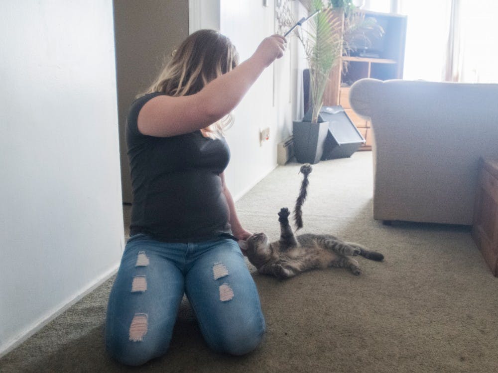 World politics senior Greta Carlson plays with her cat Kyle on Oct. 1, 2016.  Kyle is an emotional support animal that lives in the apartment with Greta and her roommate.   