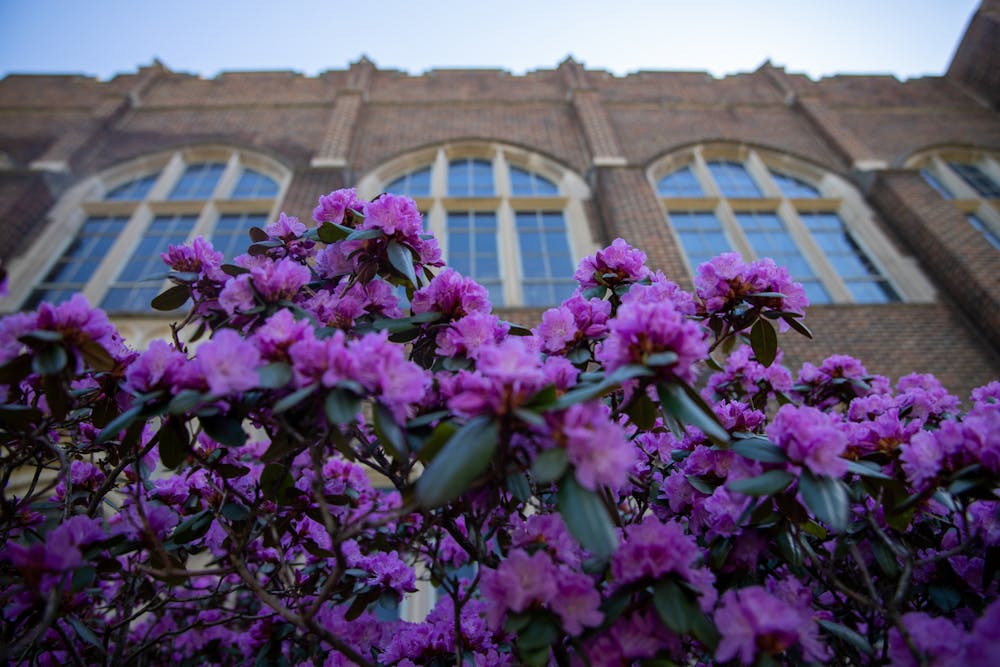 <p>April 13- Flowers outside of the MSU Museum on campus in East Lansing. </p>