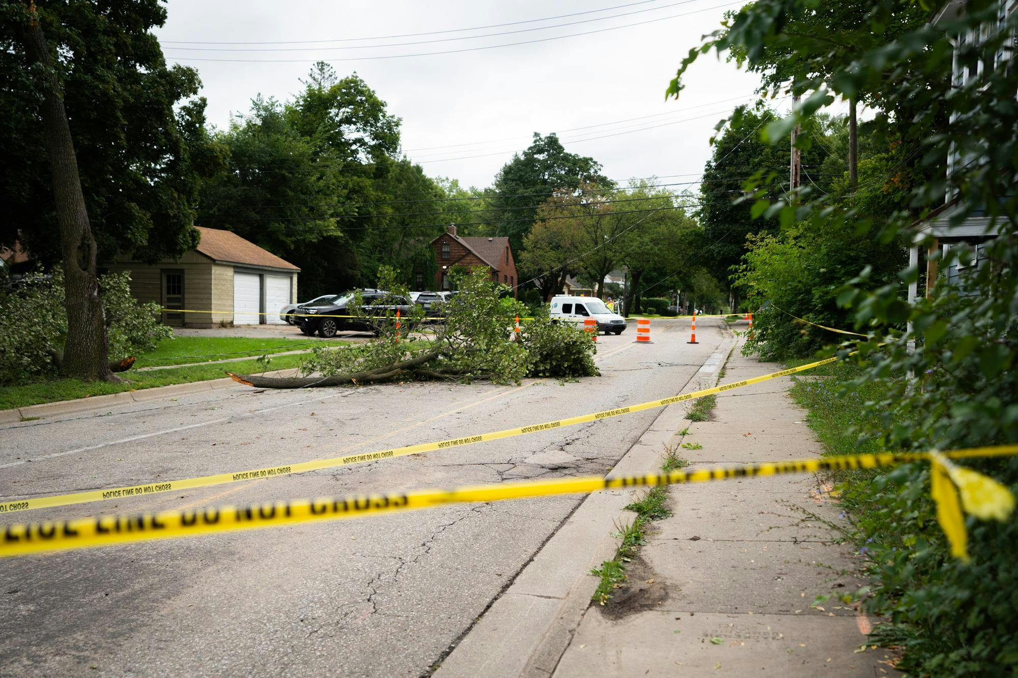 <p>Caution tape surrounding fallen trees in the aftermath of a thunderstorm in East Lansing, photographed on Aug. 25, 2023.</p>