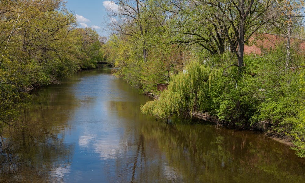 <p>The Red Cedar River photographed May 15, 2019.</p>