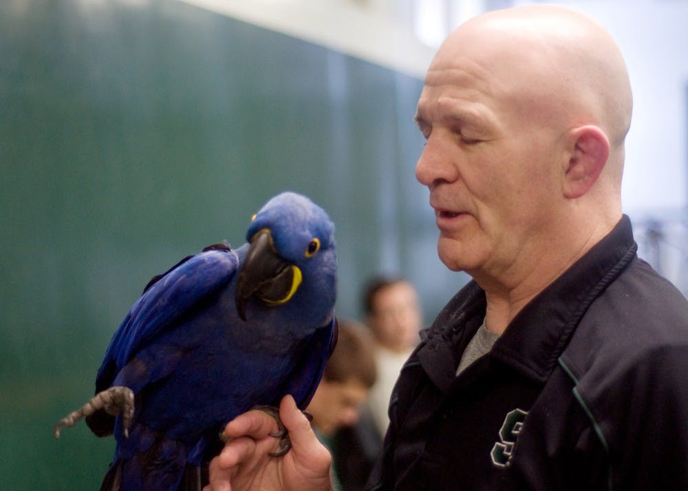 	<p>Indigo, left, sits on the arm of <span class="caps">MSU</span> wrestling head coach Tom Minkel Tuesday in the wrestling room at IM Sports-West. Minkel has had the bird for almost all her life, since she was six months old. She still regularly attends wrestling practice almost 14 years later. </p>