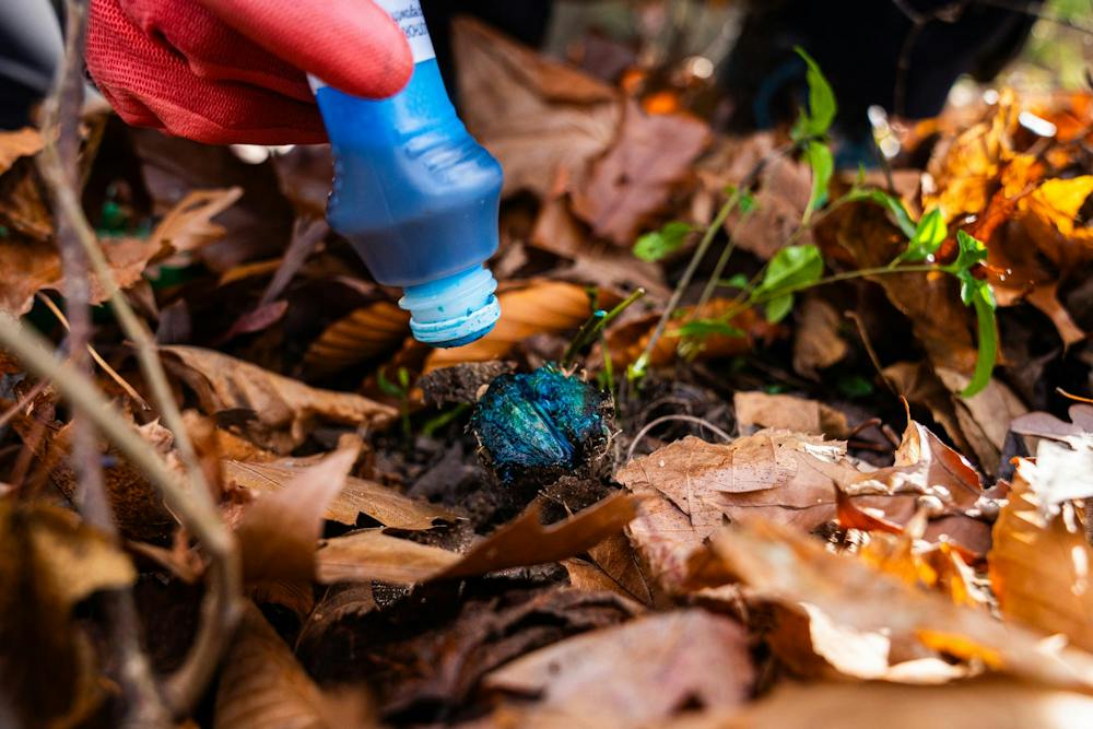 110924_INVASIVE_SPECIES_MW_03.jpg - The State News