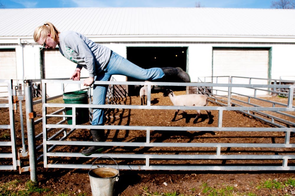 Plant and soil sciences junior Maddie Hale climbs over a fence as she fills up a water bucket for one of the flocks last Friday at the Sheep Teaching and Research Center. Hale lives on the farm and helps take care of the animals 24/7.  Josh Radtke/The State News
