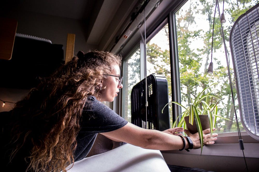 <p>Environmental studies and sustainability sophomore Courtney Boersema sets a plant on the windowsill in her dorm during move-in day Aug. 26, 2018 at Bailey Hall. Thousands of first-year students moved onto campus during the university’s official move-in day.&nbsp;</p>