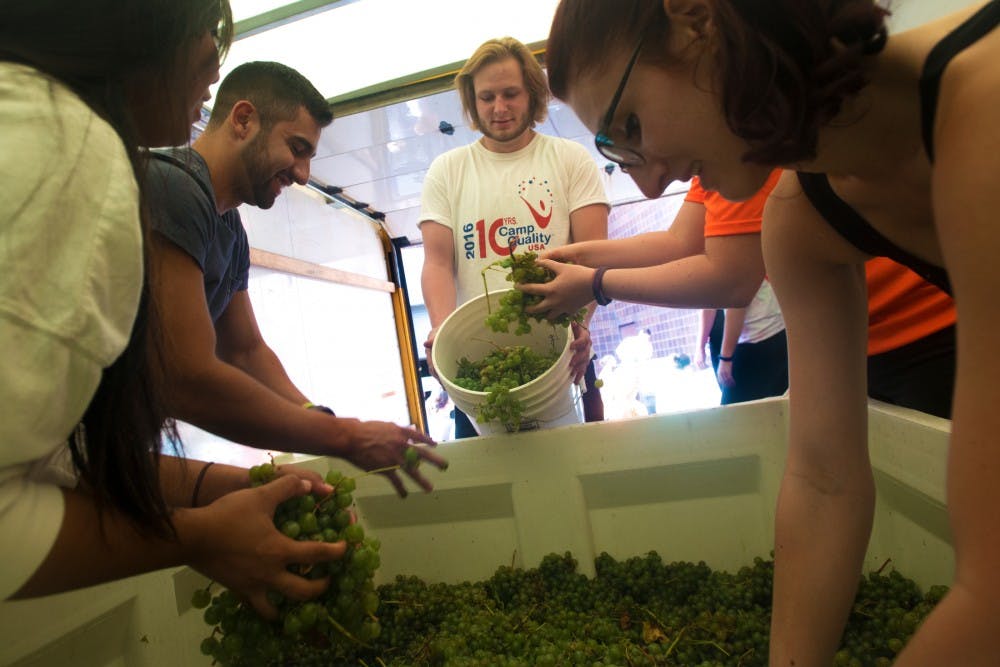 Food science senior Nick Zalewski, center, collects grapes from his classmates on Sept. 15, 2016 at 3900 Collins Road in Lansing. The grapes were put through a processing machine and were crushed for wine. 