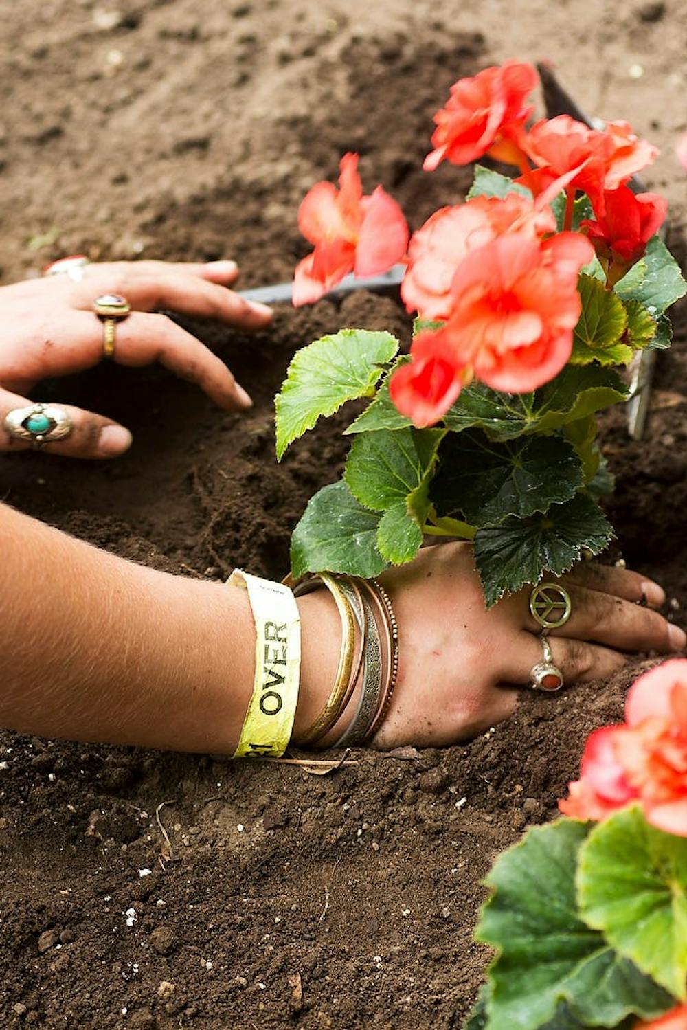 <p>Professional writing senior Olivia Monforton plants a flower June 10, 2014, in the W. J. Beal Botanical Garden. Monforton is in charge of planting all the annual beds in the garden and designs the layout of the flowers. Hayden Fennoy/The State News </p>