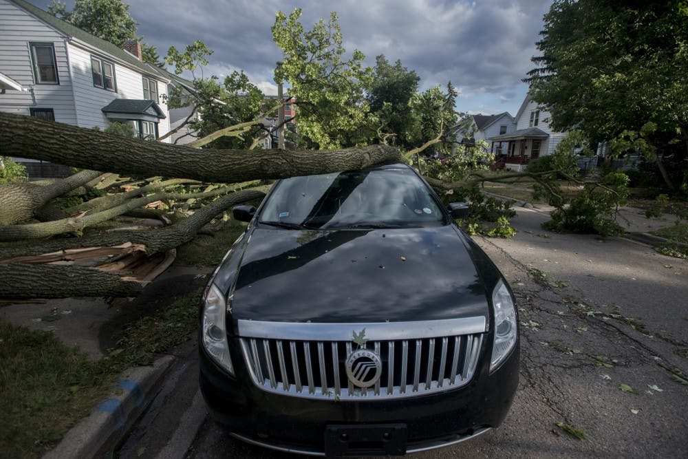 A car damaged by a tree pictured on July 8, 2016 on Bailey St. 