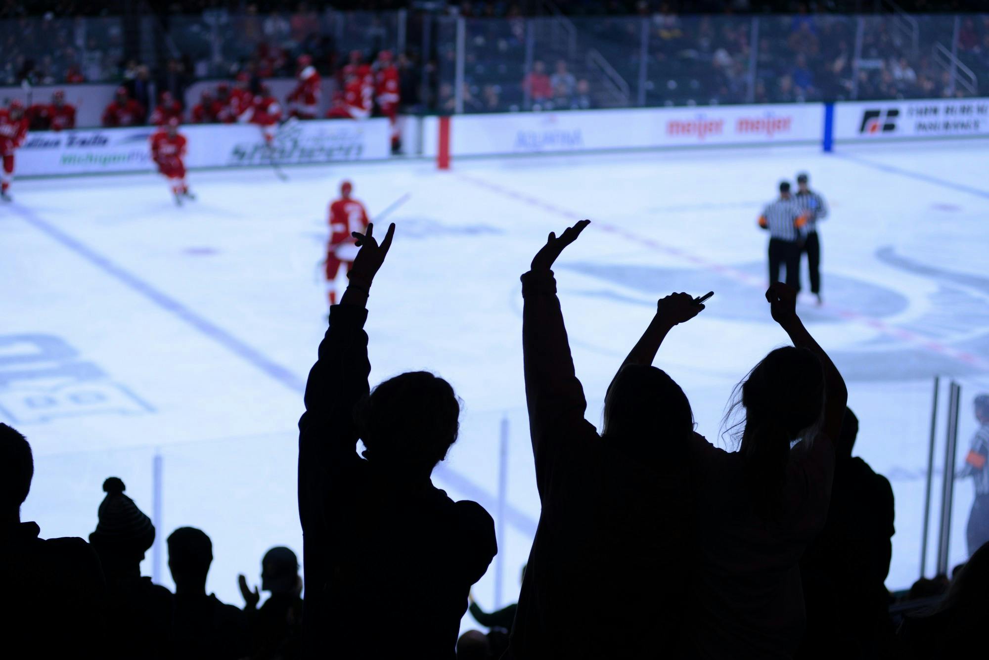  Fans celebrate an MSU goal during the game against Cornell at Munn Ice Arena on Nov. 2, 2019. The Spartans lost to the Big Red, 6-2.