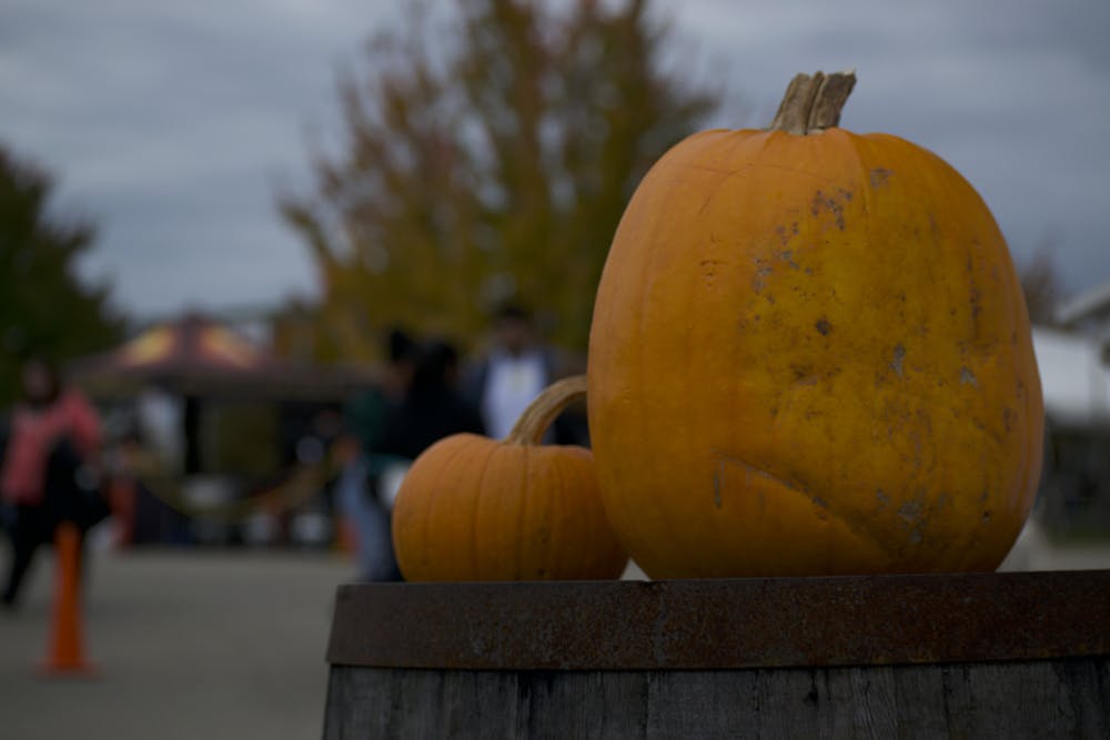 <p>Pumpkins wait to be the chosen pick at Uncle John&#x27;s Cider Mill. </p>