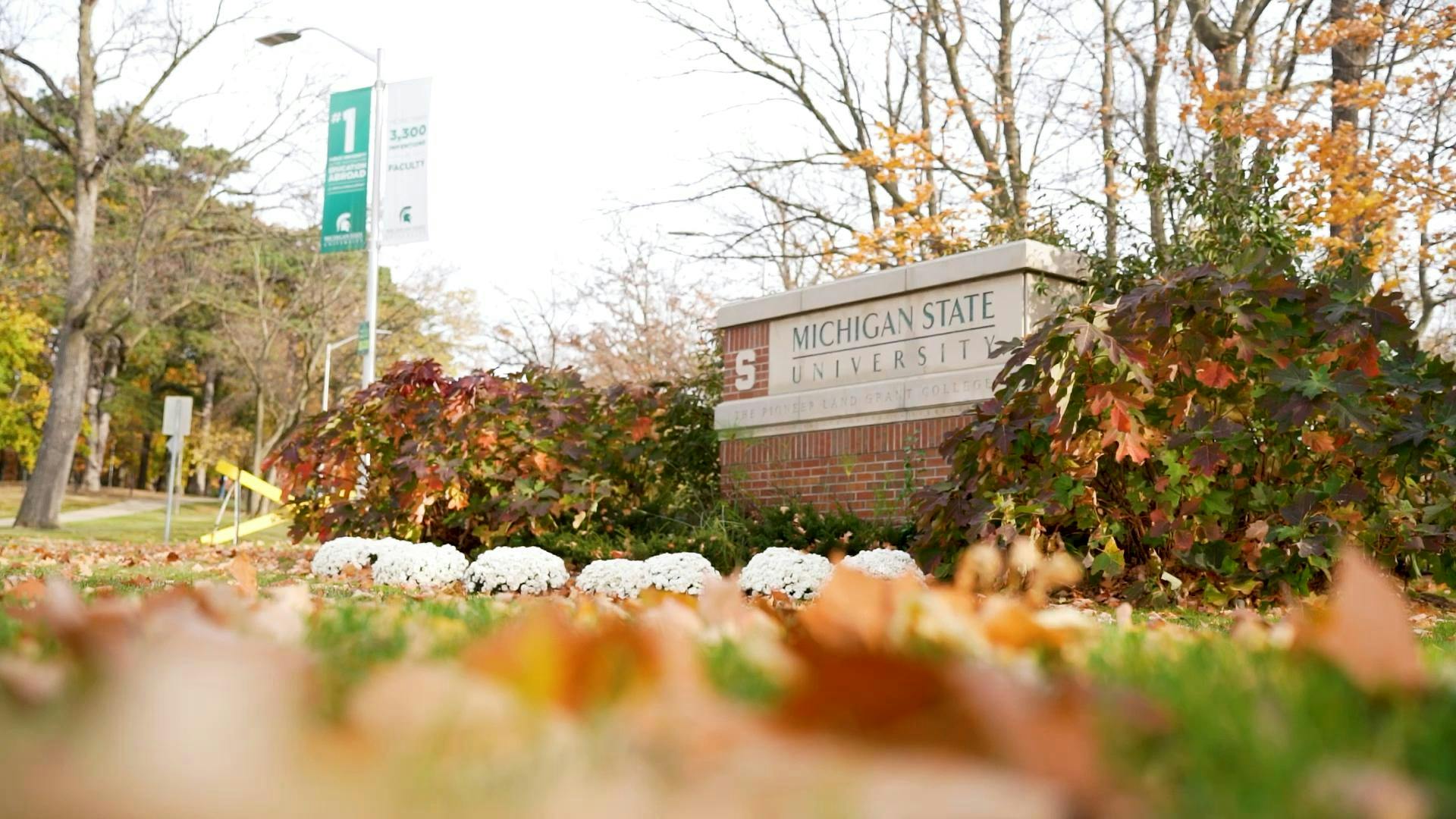 A Michigan State University sign on Beal Street on Oct. 30, 2024.