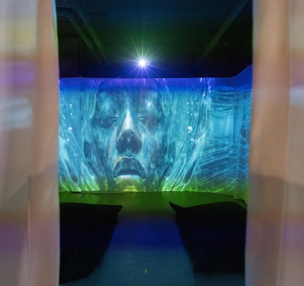 Michigan State University's new museum exhibit, Blurred Realities, is showcased as the museum re-opened in East Lansing, MI on Jan. 14, 2026.