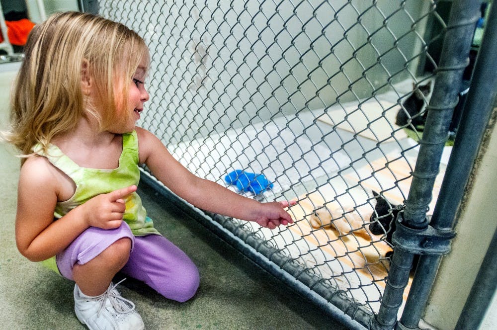 Lily Ackerman, 2, of Lansing plays with a kitten Saturday afternoon, July 14, 2012 at the Capital Area Humane Society in Lansing.  The Adopt-a-Thon named Woofstock gives residents the chance to adopt a wide variety of abandoned cats and dogs. Adam Toolin/The State News